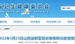 金帝股份最新爆料新闻视频